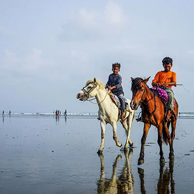 自由冲浪的秘密武器：火狐科学上网插件全方位指南