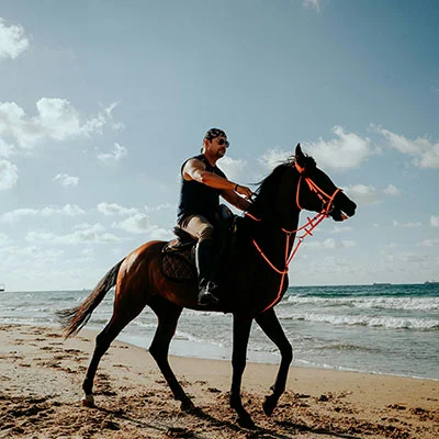 4月22日|22.3M/S，Shadowrocket节点/V2ray节点/SSR节点/Clash节点|免费订阅机场V2Box免费梯子