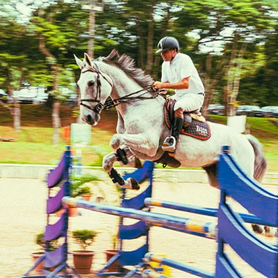 蒲公英路由器v2ray插件全攻略：解锁安全自由上网新姿势