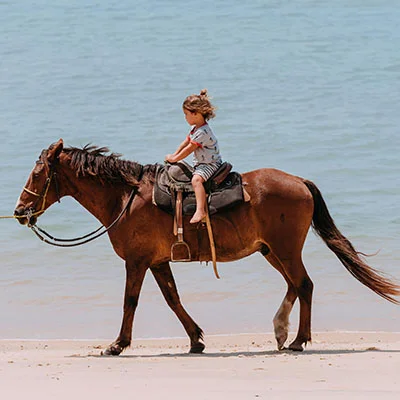 iOS科学上网终极指南：线路选择、配置技巧与疑难解答