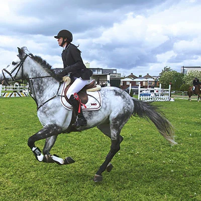 突破限制，畅游全球：Taptap科学上网全攻略与深度解析